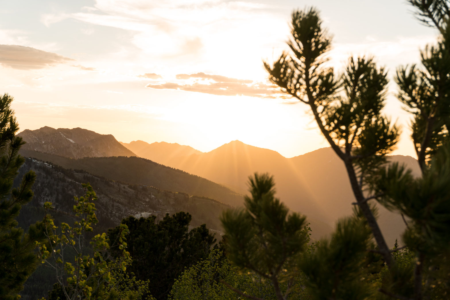 Sun hitting a mountain top with trees and branches in the foreground