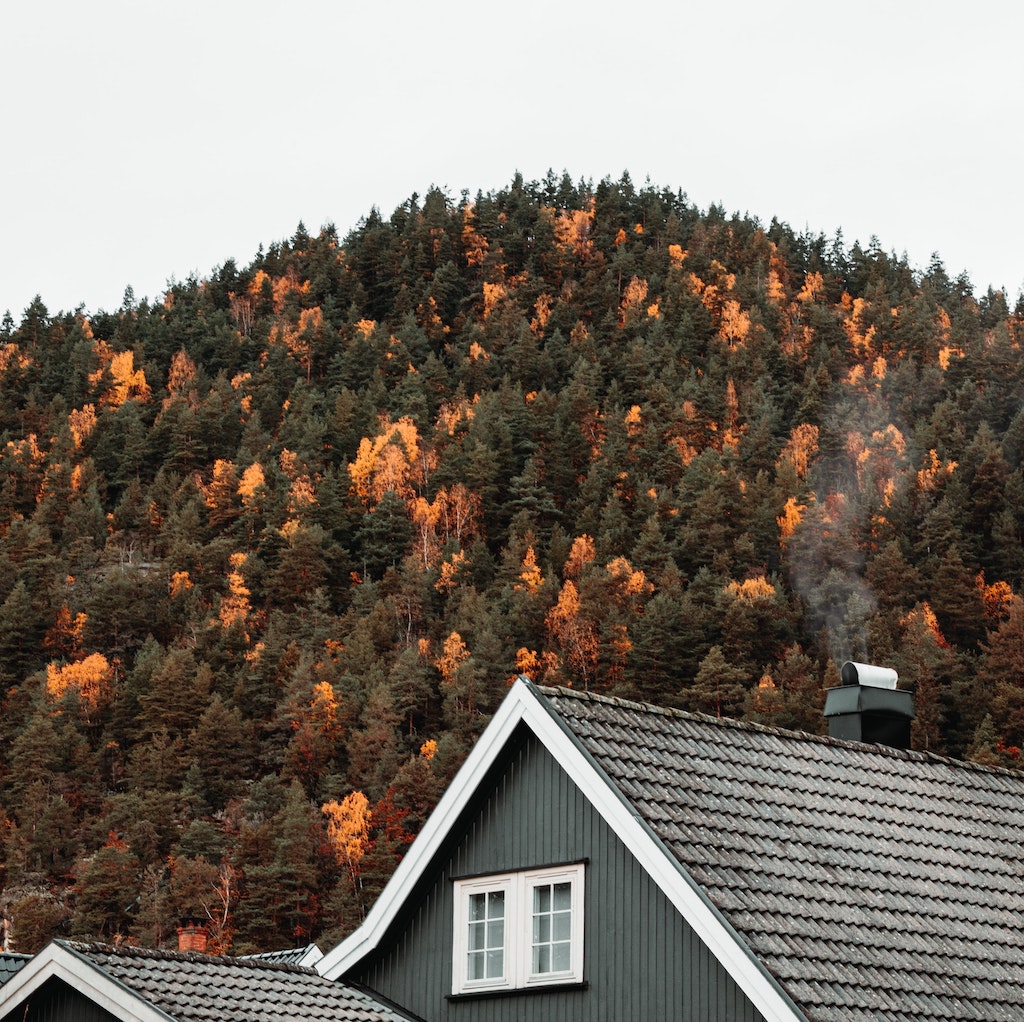 House roof and trees