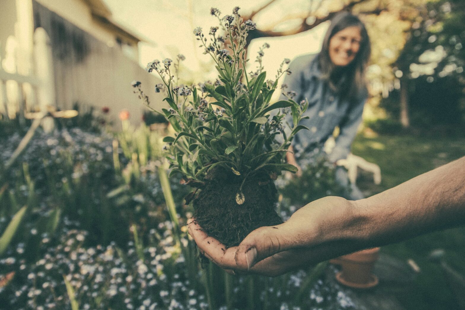 A hand holding a plant start in front of a garden with a woman smiling in the background